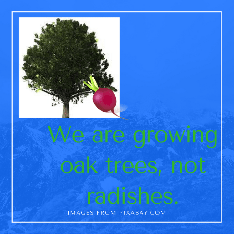 we-are-growing-oak-trees-not-radishes